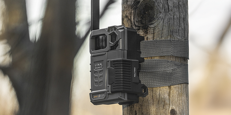 Spypoint Trail Cameras for Wildlife Observation